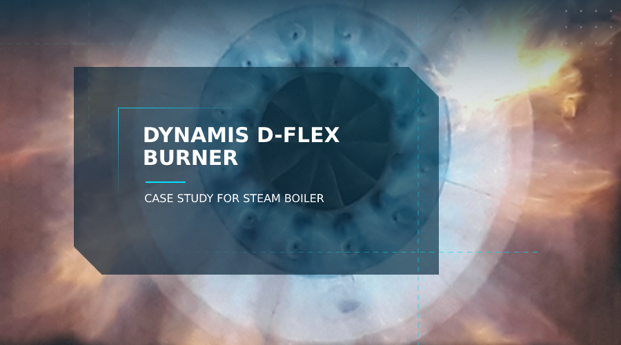 DYNAMIS D-FLEX BURNER – CASE STUDY FOR STEAM BOILER - Dynamis